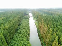 -黄海国家森林公园