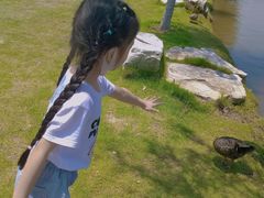-木兰水镇旅游景区
