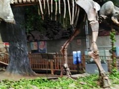 -中国第四纪冰川遗迹陈列馆
