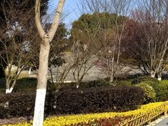 -院士公园