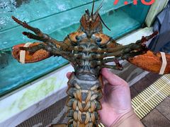-盆满钵满·国家非遗传承(云台店)