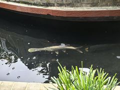 -侠成水上农庄(工业大道店)