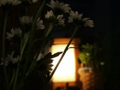 -月迷津渡(吾悦国际店)