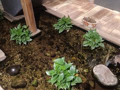 -邈墨茶馆(大兜路1号店)