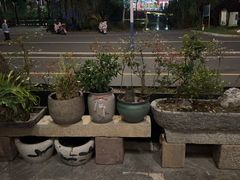 -江南小菜(东辰御龙湾店)