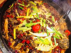 -老板恋上鱼(恒隆广场店)