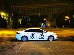 -星鸿社重庆老火锅(燃灯寺分店)