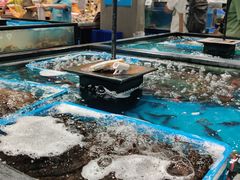 -盒马鲜生(皇庭广场店)