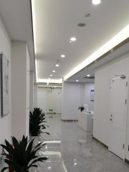 -碧莲盛·不剃发植发