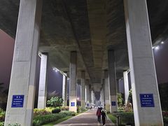 -中澳友谊花园