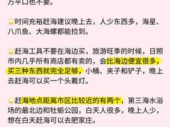 -日照海滨国家森林公园