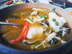 鲜椒鲈鱼片-唐廊烤鸭店(工体店)