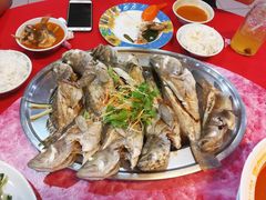 海钓清蒸石斑鱼-美香海鲜饭店