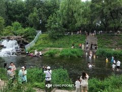 -黛秀湖公园