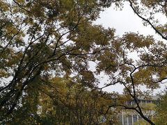 -云南师范大学(一二一西南联大校区)