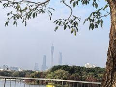 -海珠湖公园
