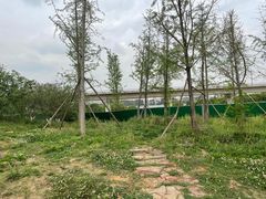 -秀丽东方