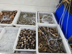 -宾朋海鲜特色美食餐厅·纯手工鲅鱼水饺(兴海路店)