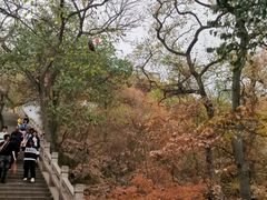 -灵岩山风景区