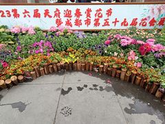 -成都市文化公园