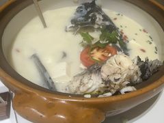 千岛湖浓汤鱼头-全乐鱼馆·淳牌有机鱼直营店