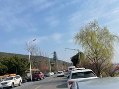 -苏州太湖国家湿地公园