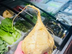 -仙店农庄