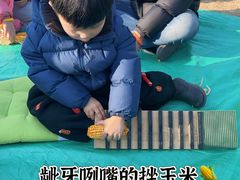 -乌村