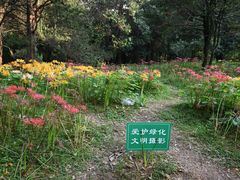 -杭州植物园
