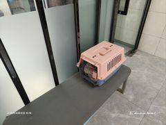 -半岛宠物医院24小时(白果林店)