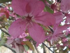 -白塘生态植物园