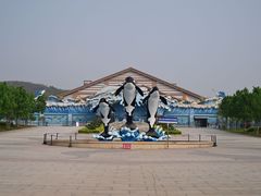 -石家庄极地海洋世界
