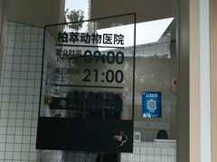 -柏萃动物医院·骨科·牙科