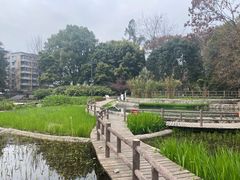 -成都市活水公园
