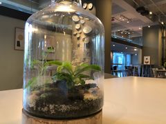 -dotcom coffee古点咖啡(致真大厦店)