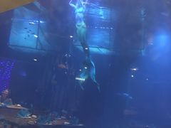 -海棠湾洲际-涛·海底餐厅·美人鱼·自助餐·海底隧道