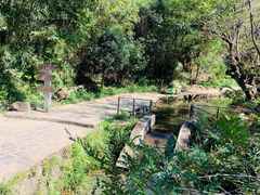 -夏霖九天银瀑风景区