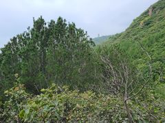 -北京十三陵国家森林公园蟒山景区