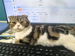 -乖乖宠物医院·猫科·急重症中心(车站北路分院)