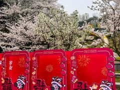 -杭州少年儿童公园