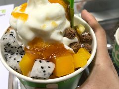 -Salud撒露欧洲冻酸奶(蓝色港湾店)