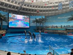 -海合安成都极地海洋公园