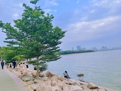 -深圳湾公园(南山区)