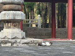 -四门塔风景区