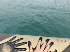 -星光大道