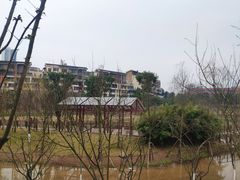 -沐仙湖湿地公园