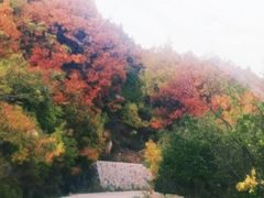 -白草畔自然风景区