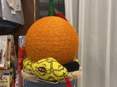 -宠爱国际动物医院· 猫科· 外科·中兽医(长白店)