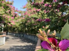 -金鸡山公园