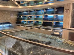 -老淳安—伴山伴湖(千岛湖开元度假村店)